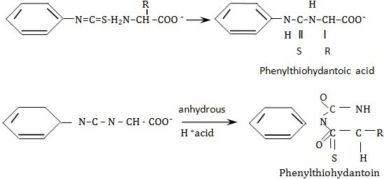 Edman reaction